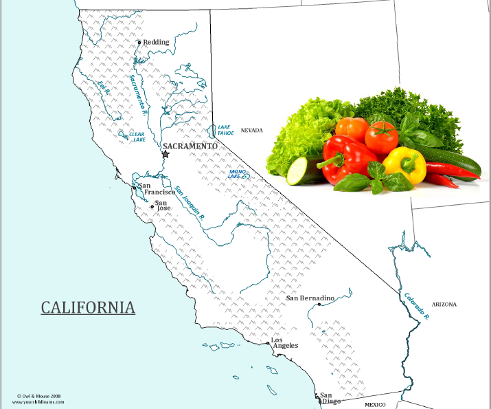 California Central Coast Vegetable