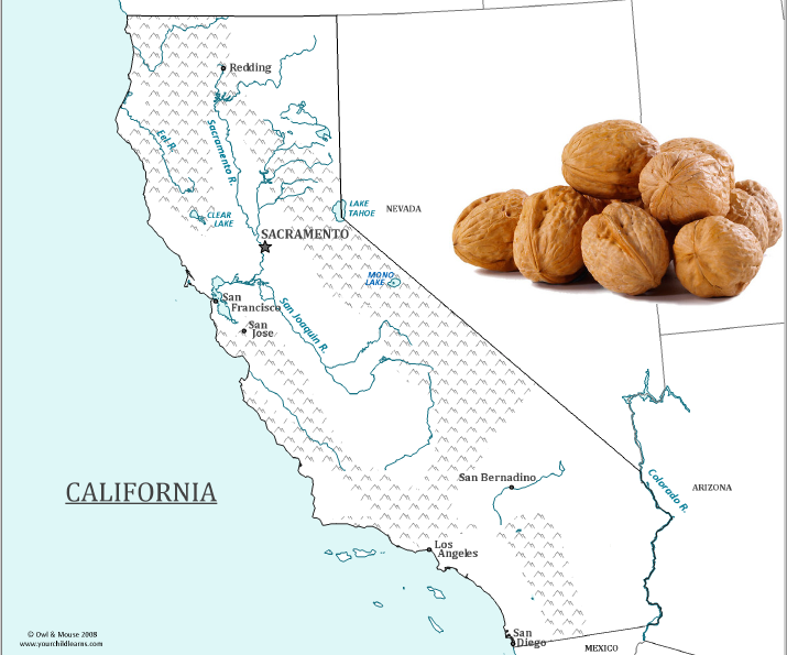 California Walnut