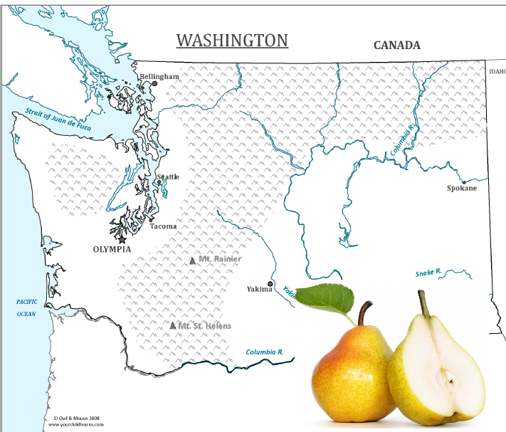 Washington State Pears