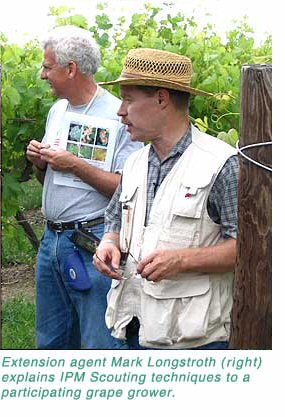 Scouting Grape Vines for Summer Diseases