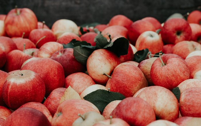 Putting the Farm Bill to Work for Michigan Apple Growers